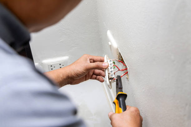 Best Home Electrical Repair  in Loving, NM
